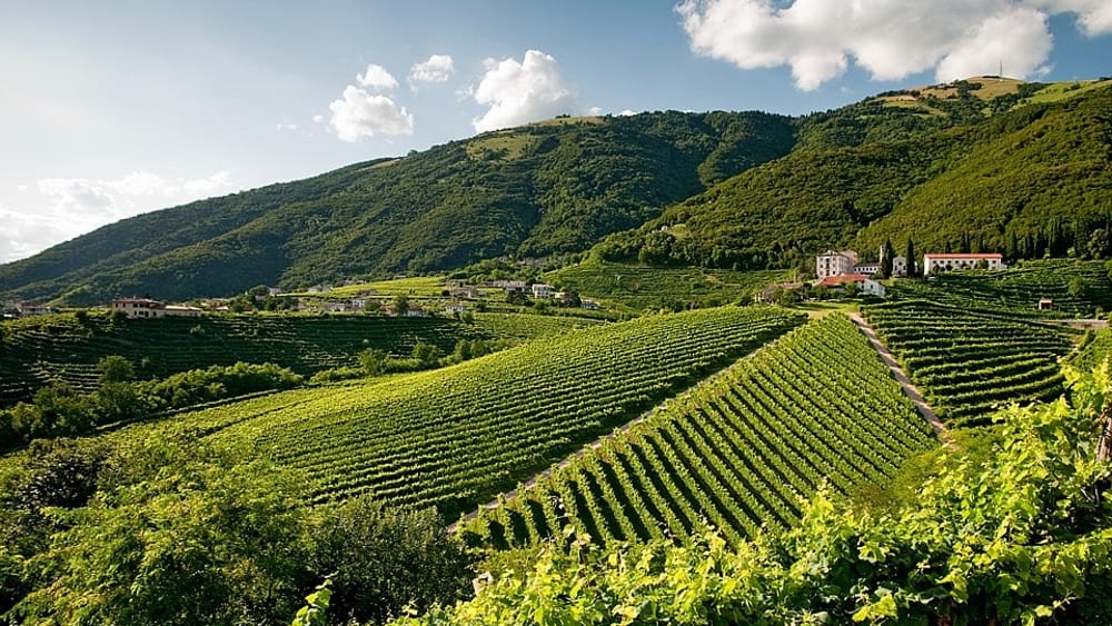 Vigneti UNESCO – Vidor e Valdobbiadene
